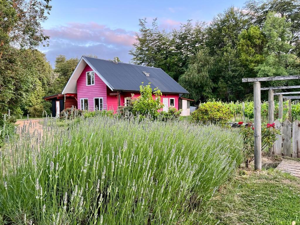 Casa Vina * Valdivia